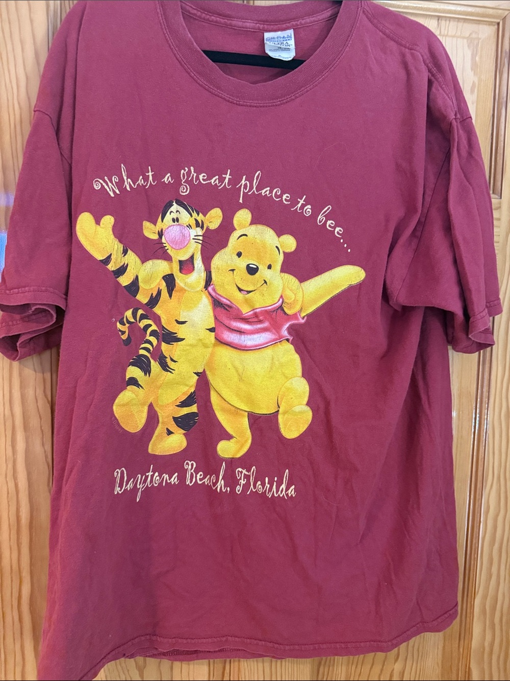 Disney Maroon Kids Tee with Yellow Winnie the Pooh & Tigger Graphic